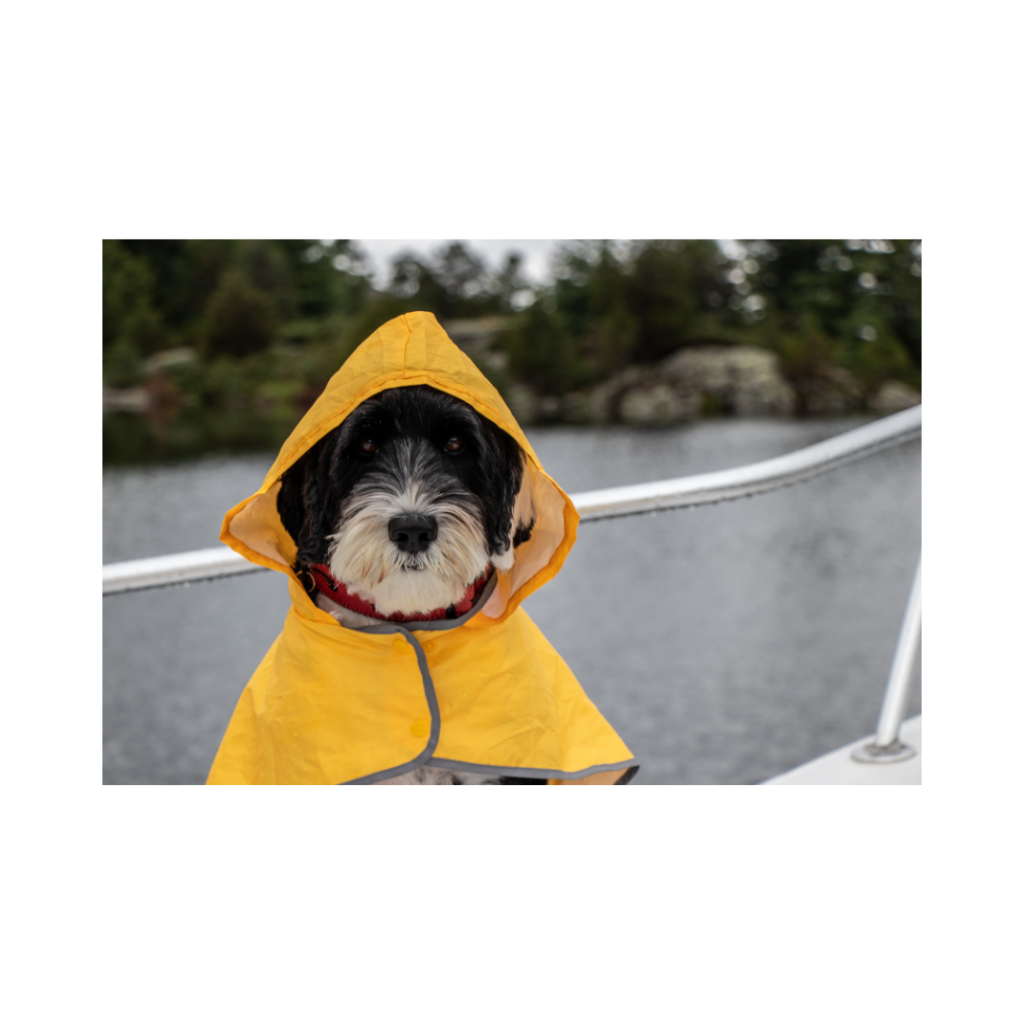 Cute dog in yellow raincoat on boat during stormy weather.