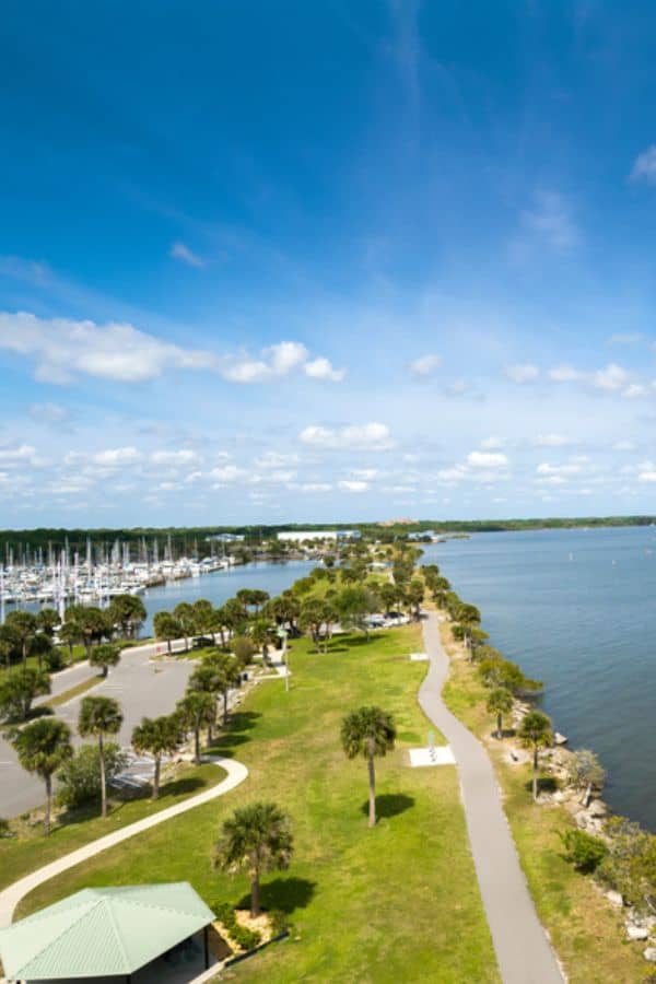 Scenic view of a waterfront park with walking paths and palm trees under a blue sky.