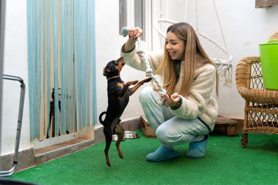 Boarding vs. Overnight Pet Sitting in Titusville Which Is Actually Better for Your Pet